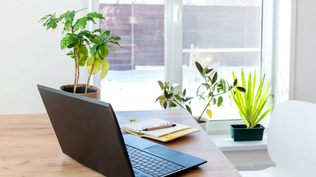 Nachhaltigkeit im Büro – Tipps für die Umsetzung